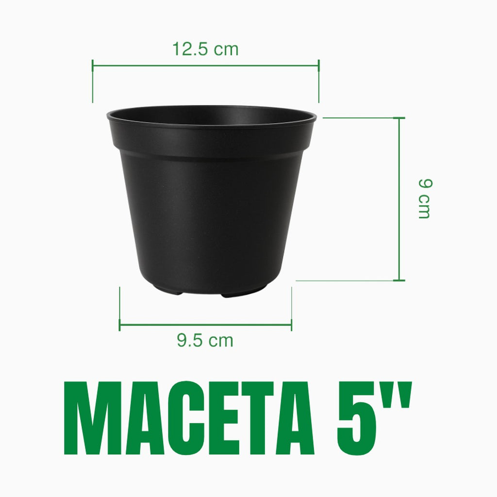 Maceta 5 pulgadas de material recuperado: boca 12.5 cm, base 9.5 cm, altura 9 cm