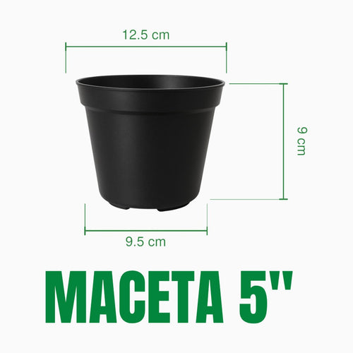 Maceta 5 pulgadas de material recuperado: boca 12.5 cm, base 9.5 cm, altura 9 cm