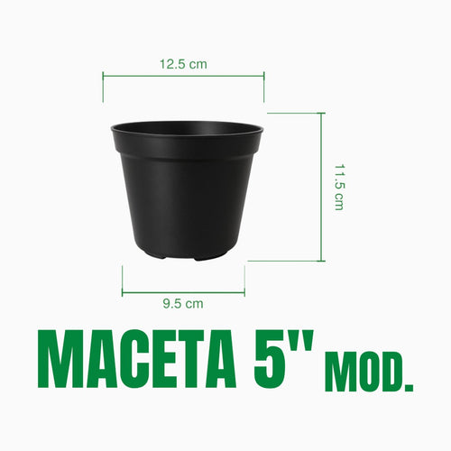 Maceta 5 pulgadas modificada de material recuperado: boca 12.5 cm, base 9.5 cm, altura 11.5 cm