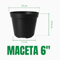 Maceta 6 pulgadas de material recuperado: boca 15 cm, base 11 cm, altura 10.5 cm